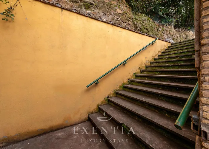 ヴィラ Exentia Stays - Private Garden Villa With Jacuzzi Near Spanish Steps, Via Margutta - Rome